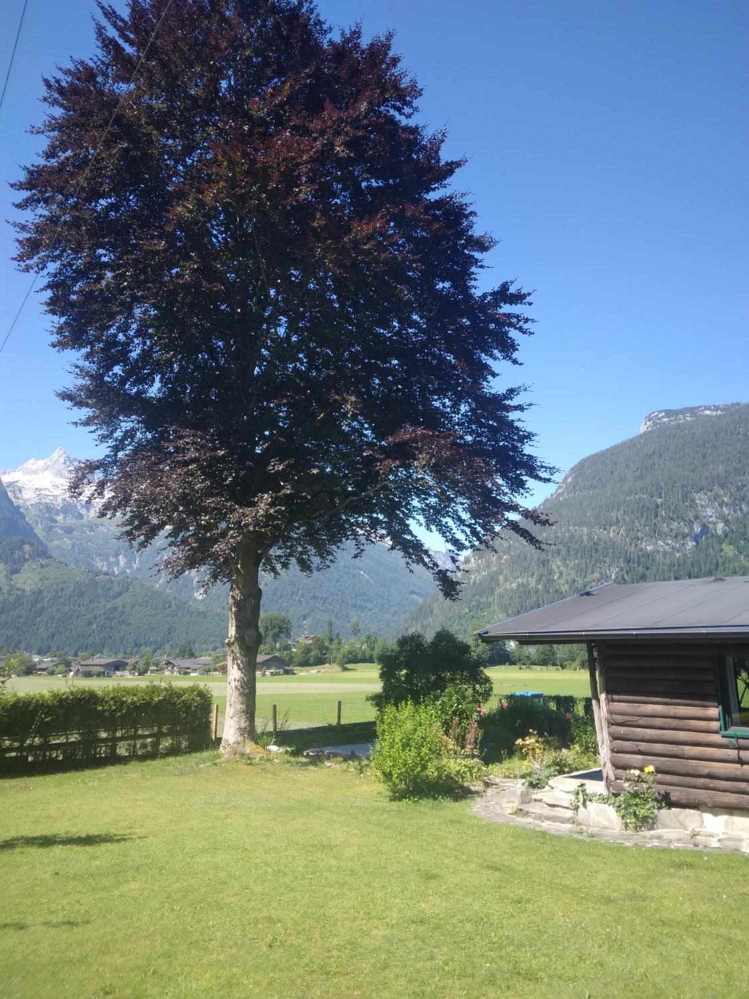 Chalet Scheffsnoth Lofer Extérieur photo