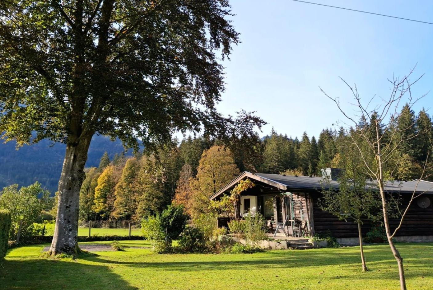 Chalet Scheffsnoth Lofer Extérieur photo
