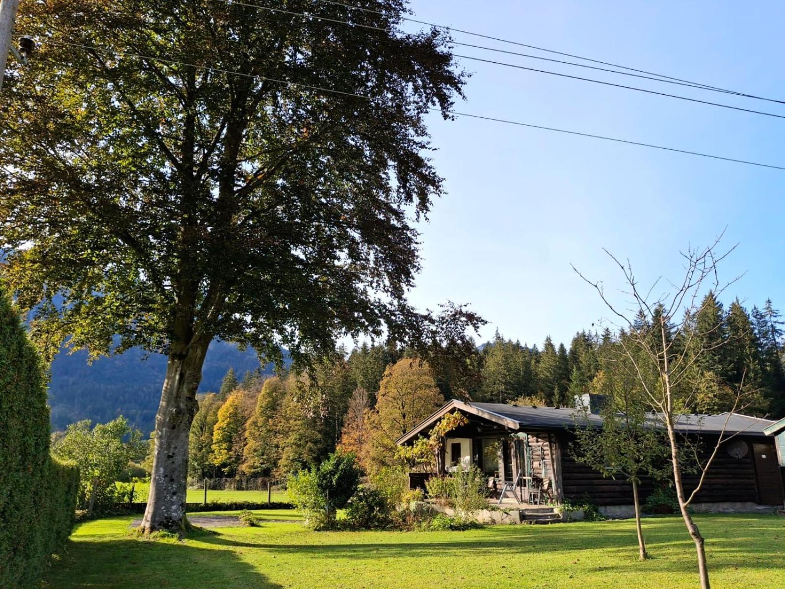 Chalet Scheffsnoth Lofer Extérieur photo
